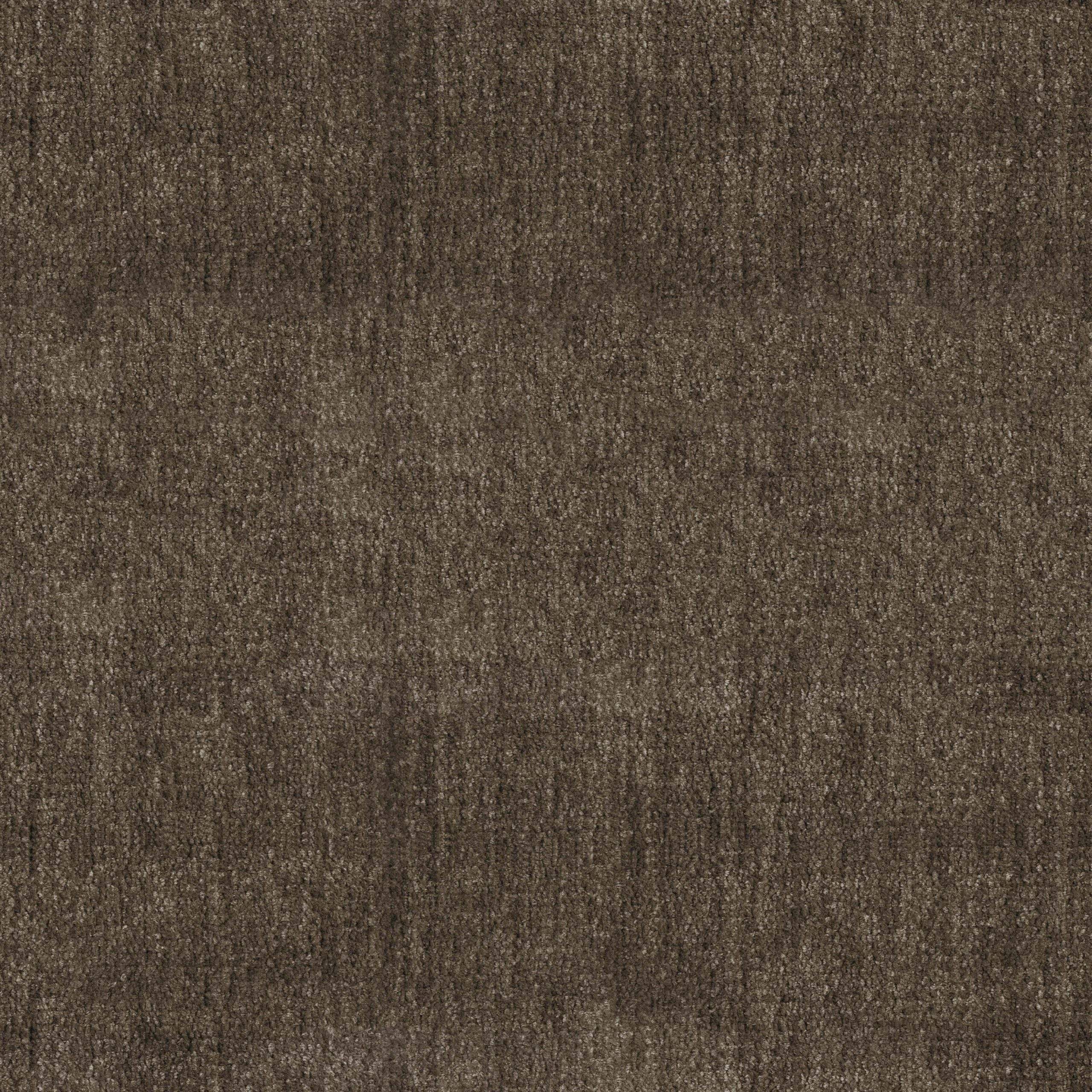 Tissu