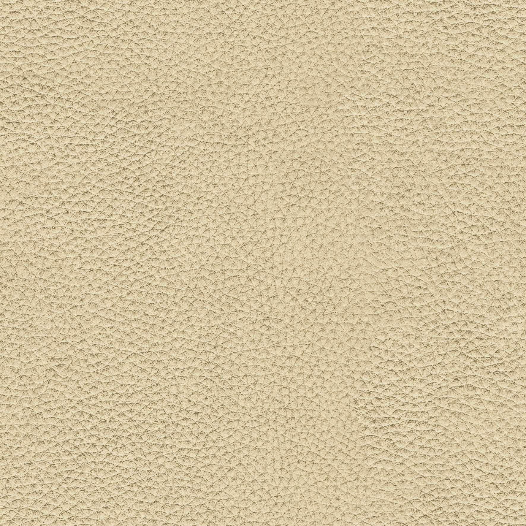 Leather