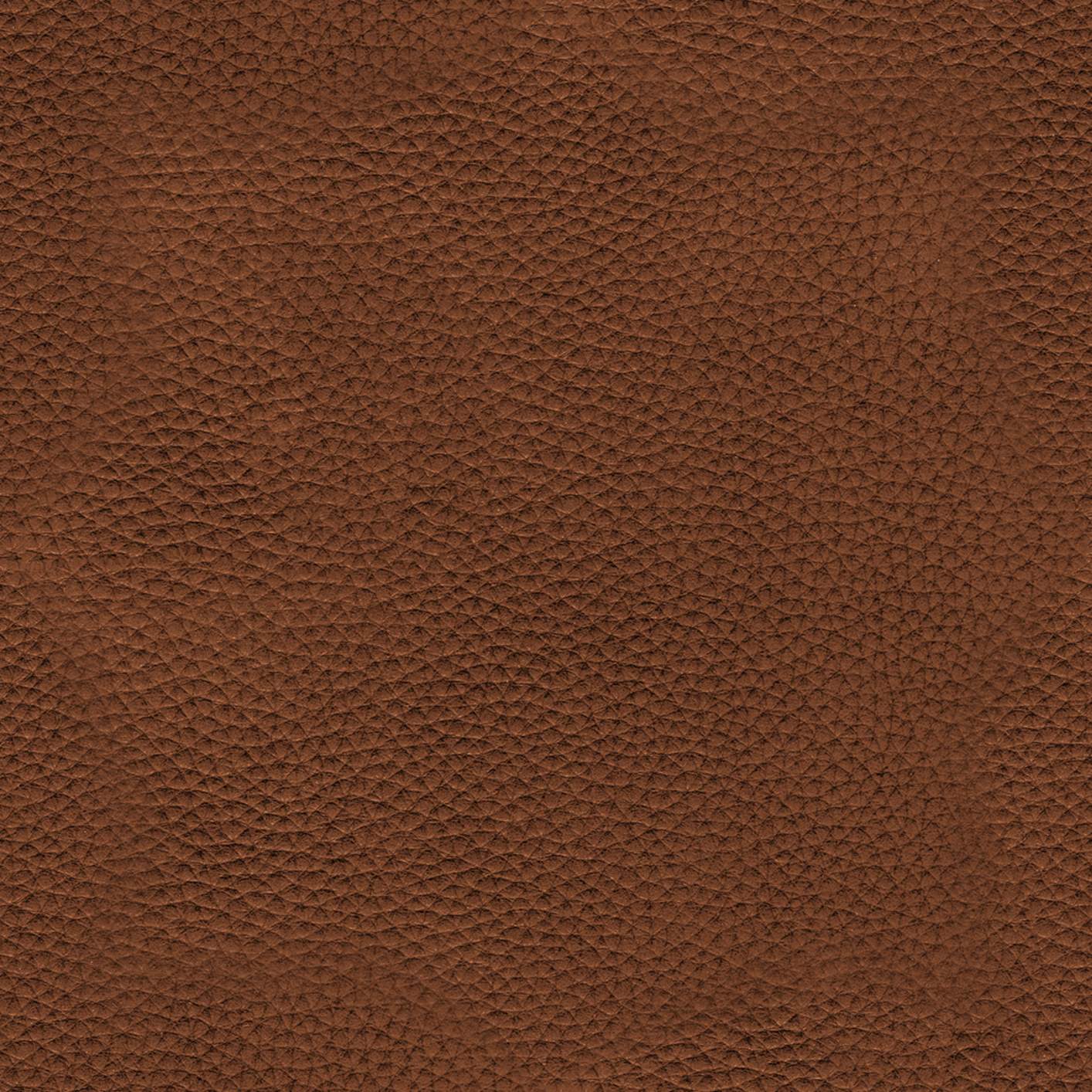 Leather