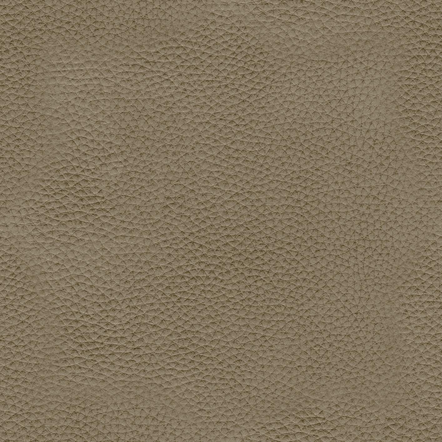 Leather