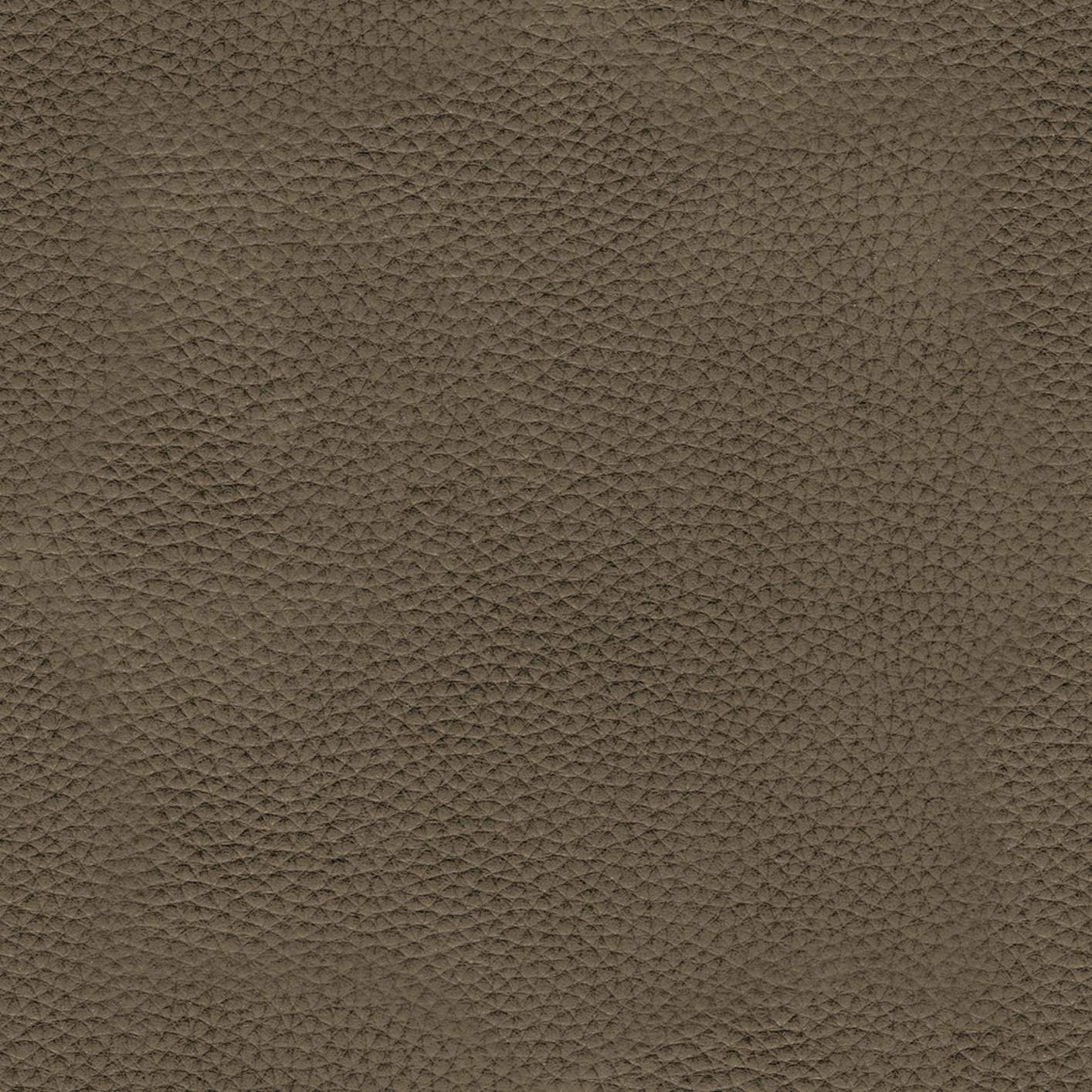 Leather