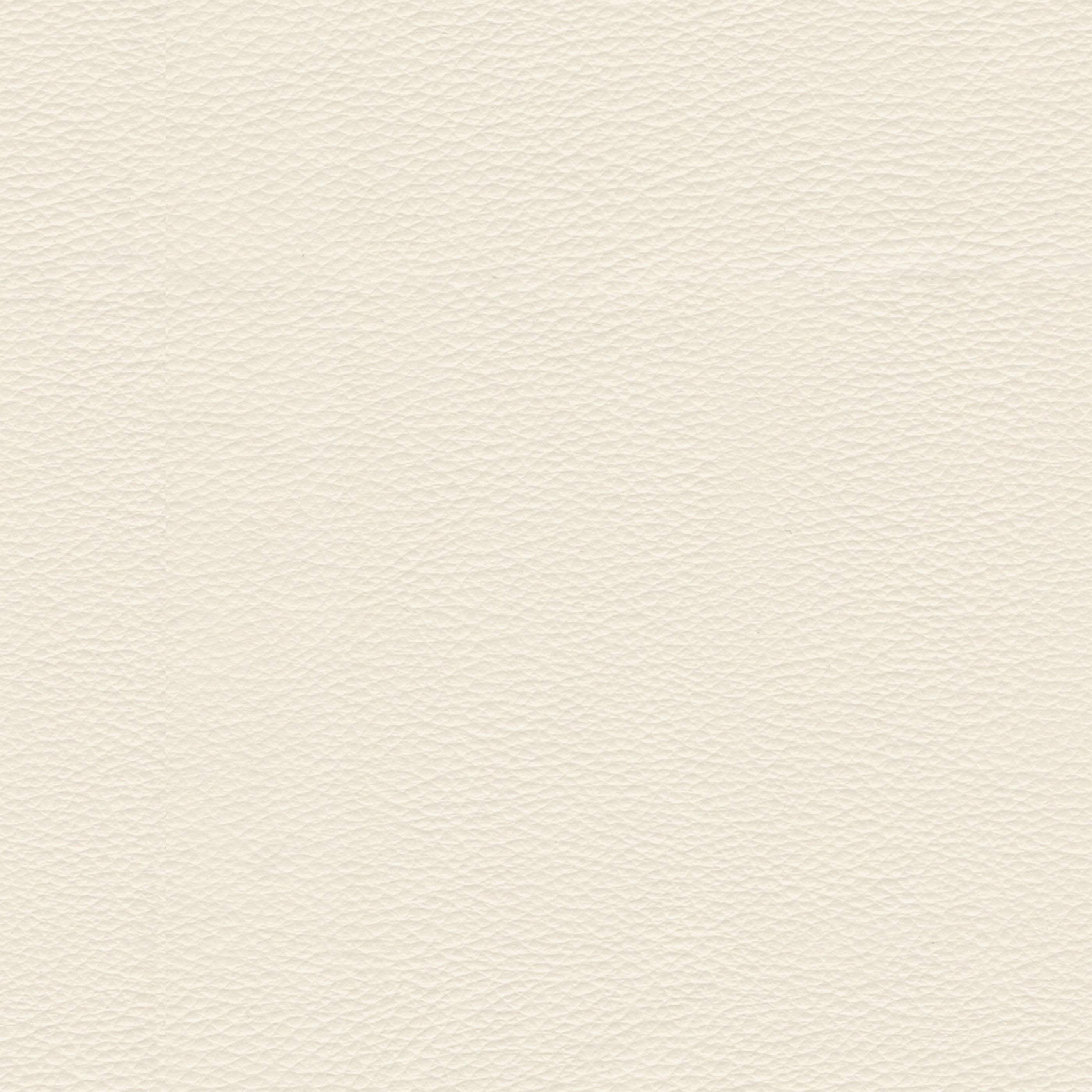 Eco-leather