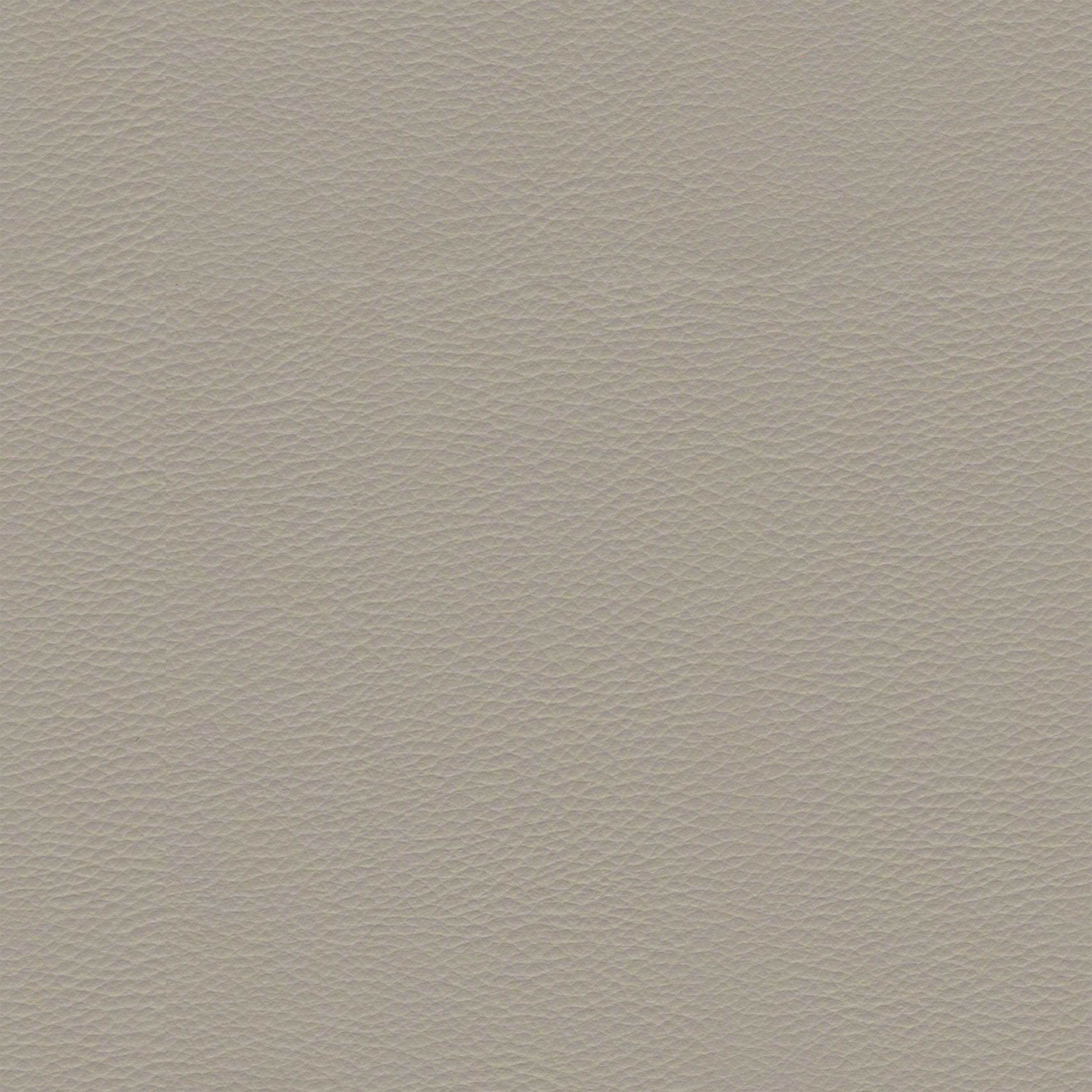 Eco-leather