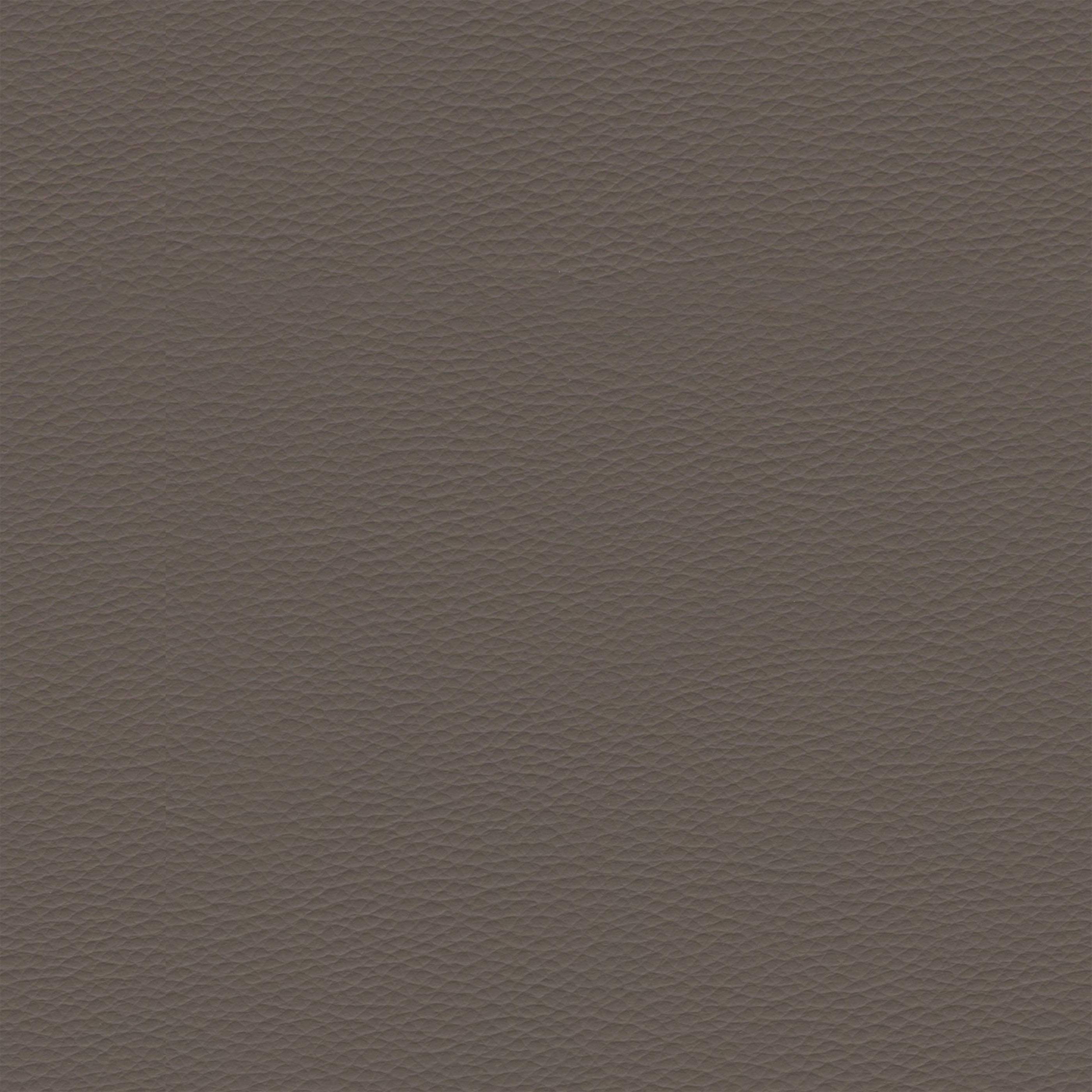 Eco-leather