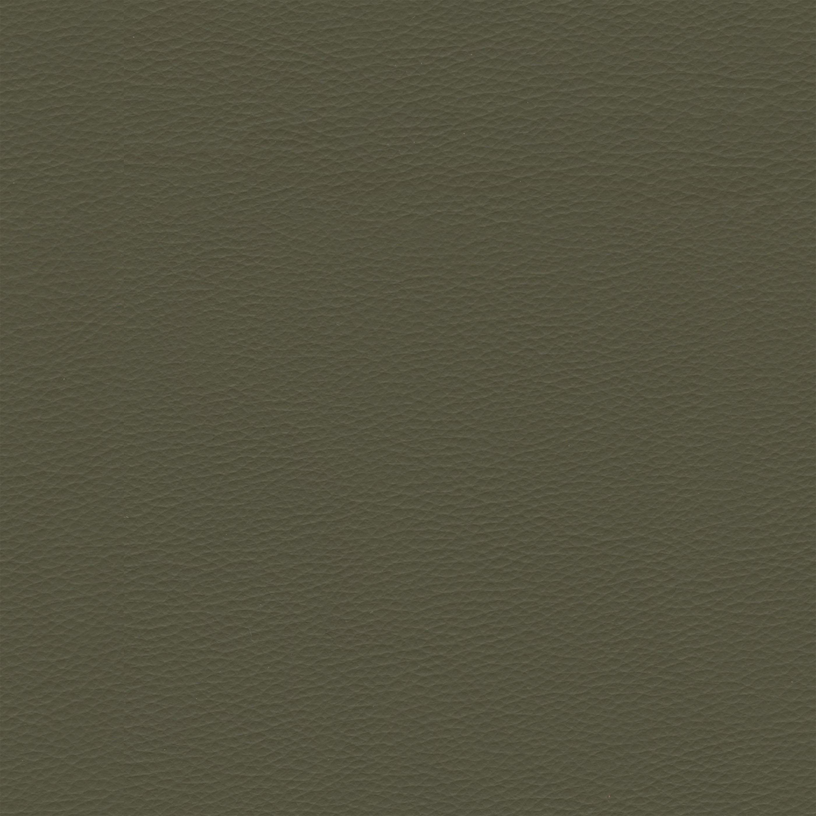 Eco-leather