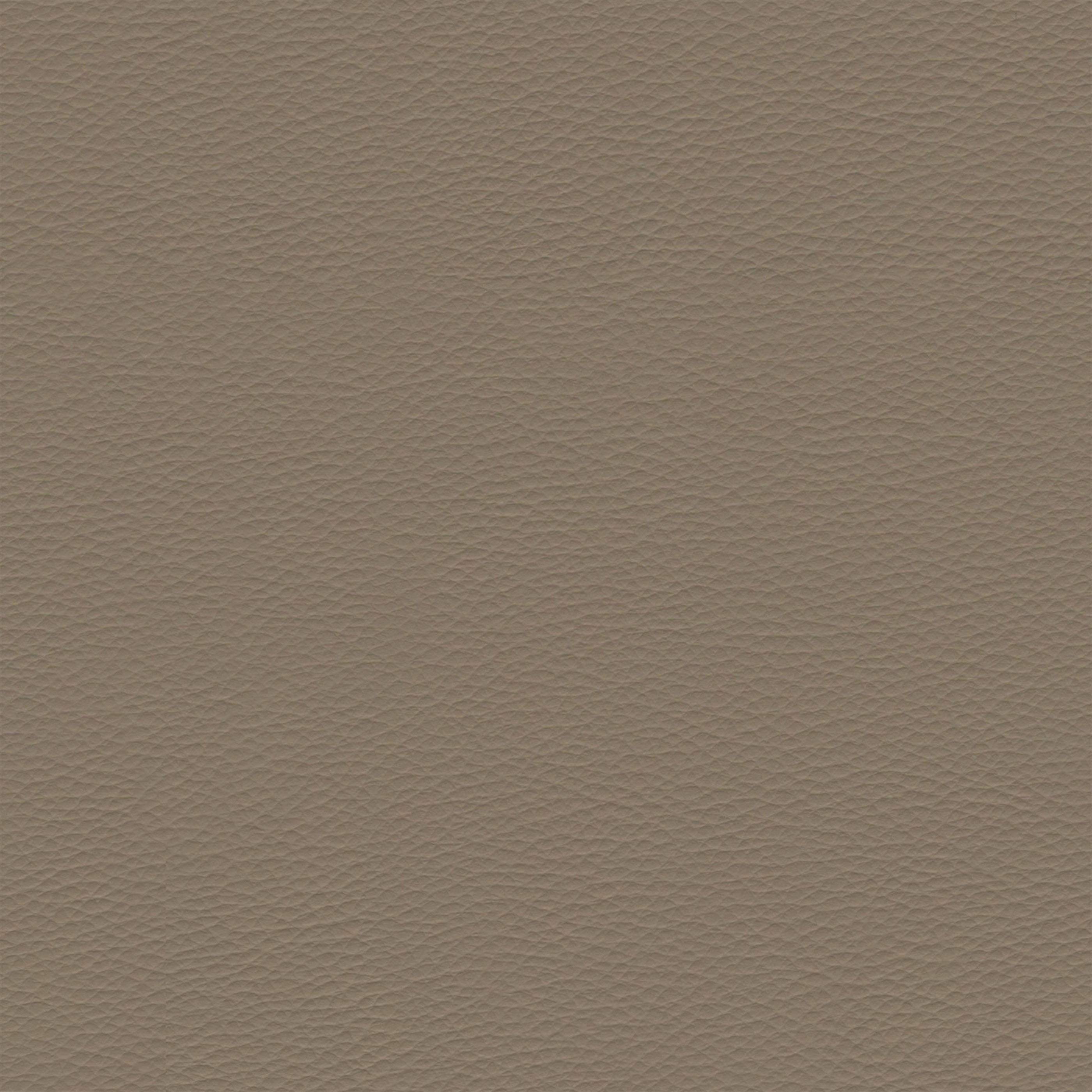 Eco-leather