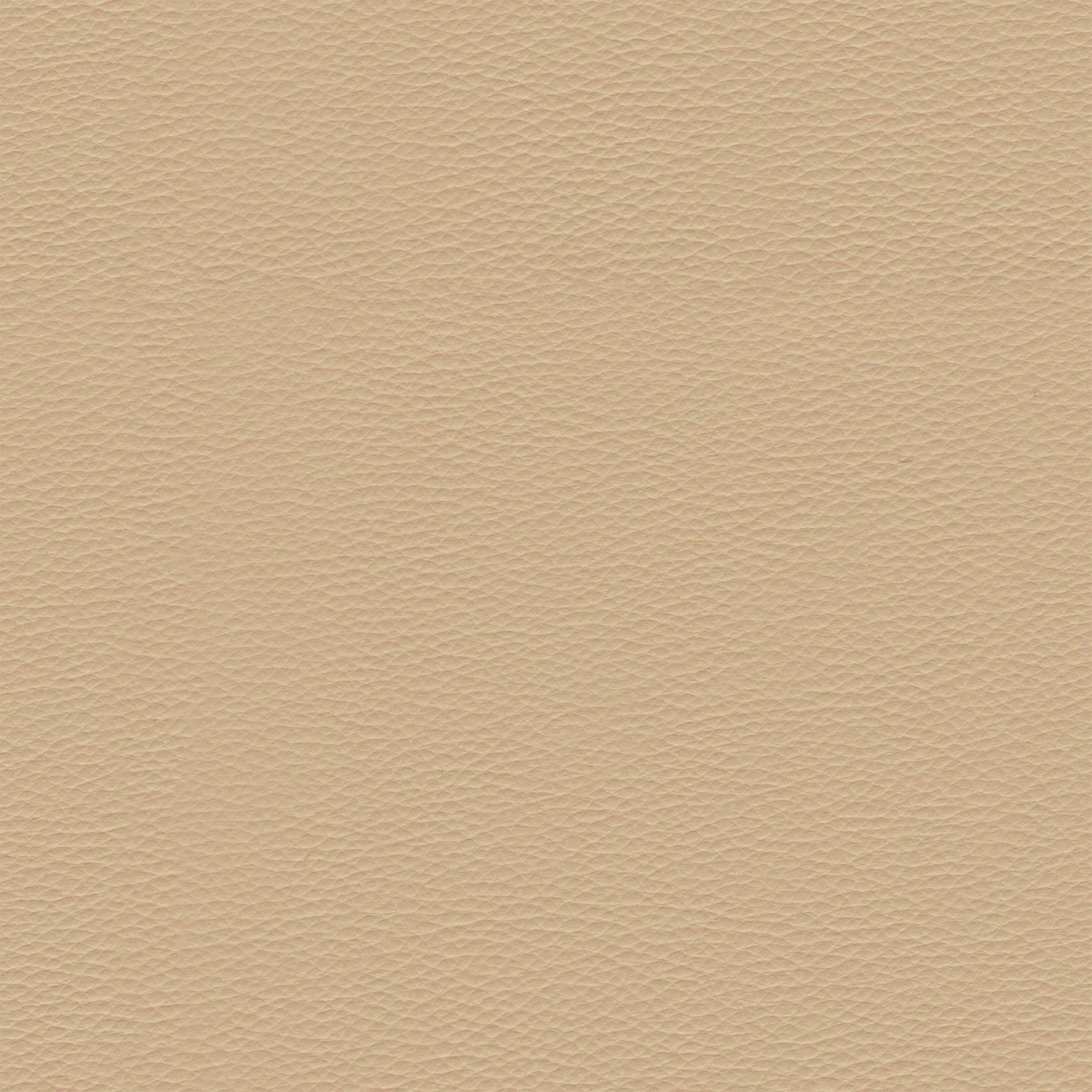 Eco-leather