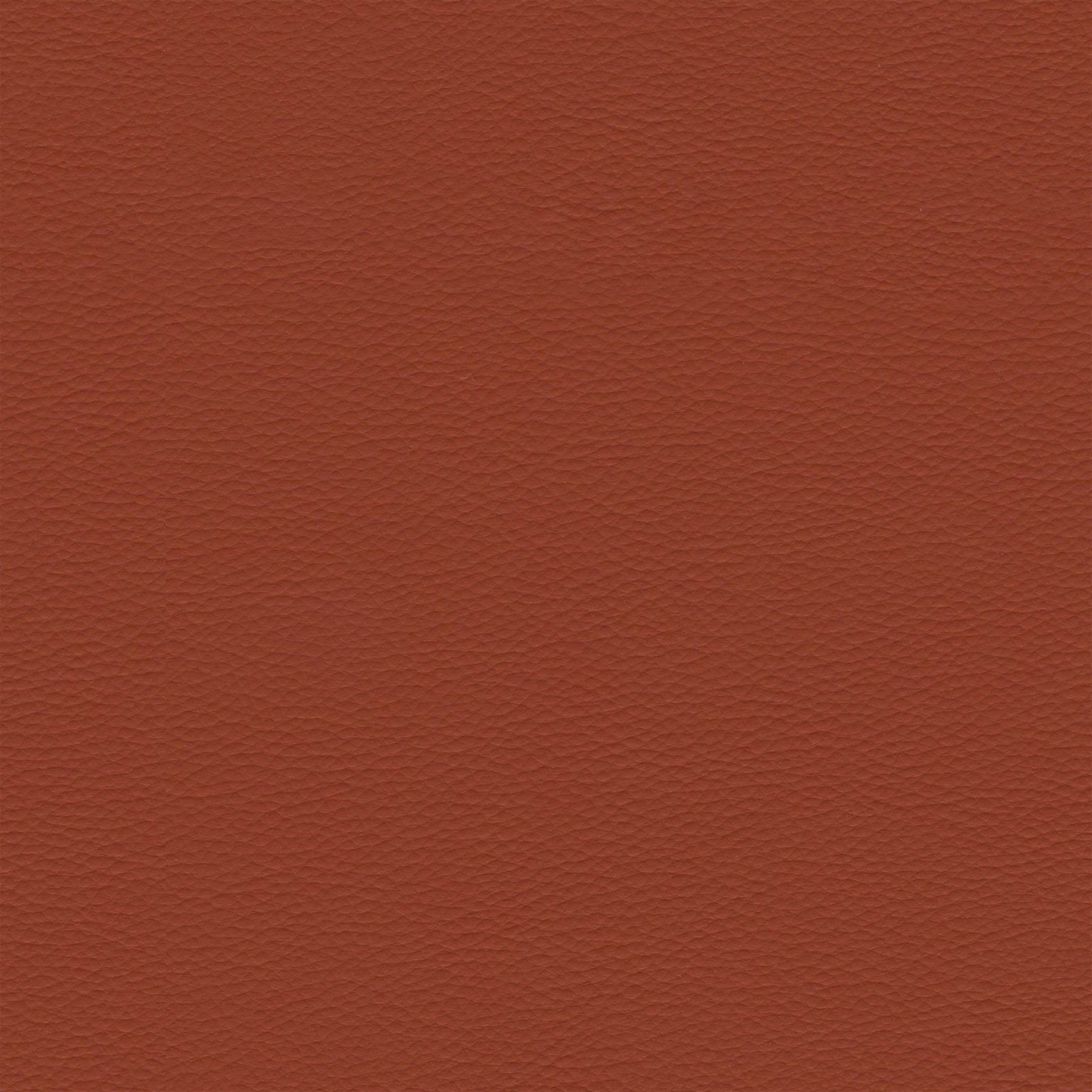 Eco-leather